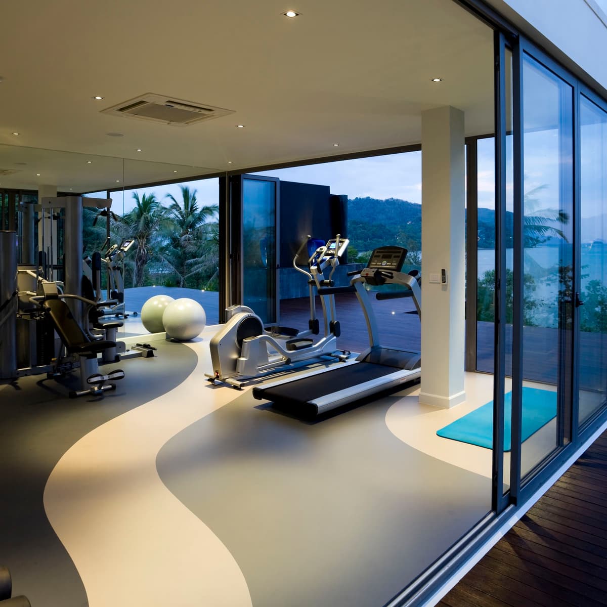 Elite Home Gym - Mumbai Residence